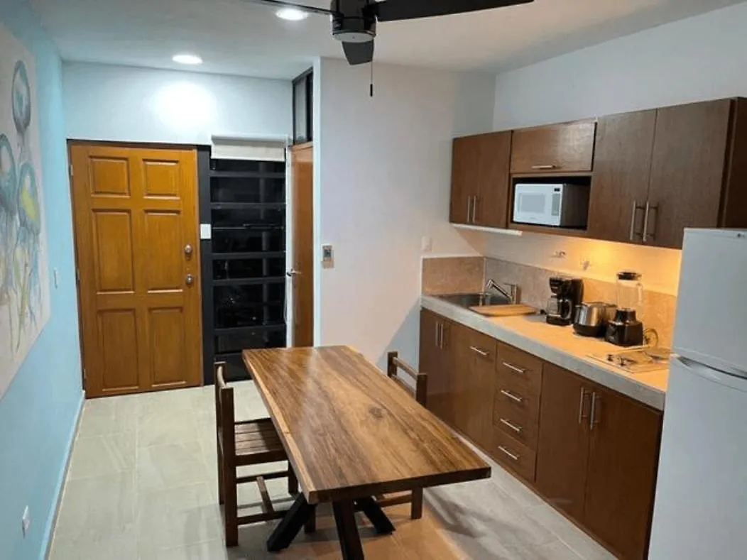 Homely Apartment Great Location Playa Del Carmen México
